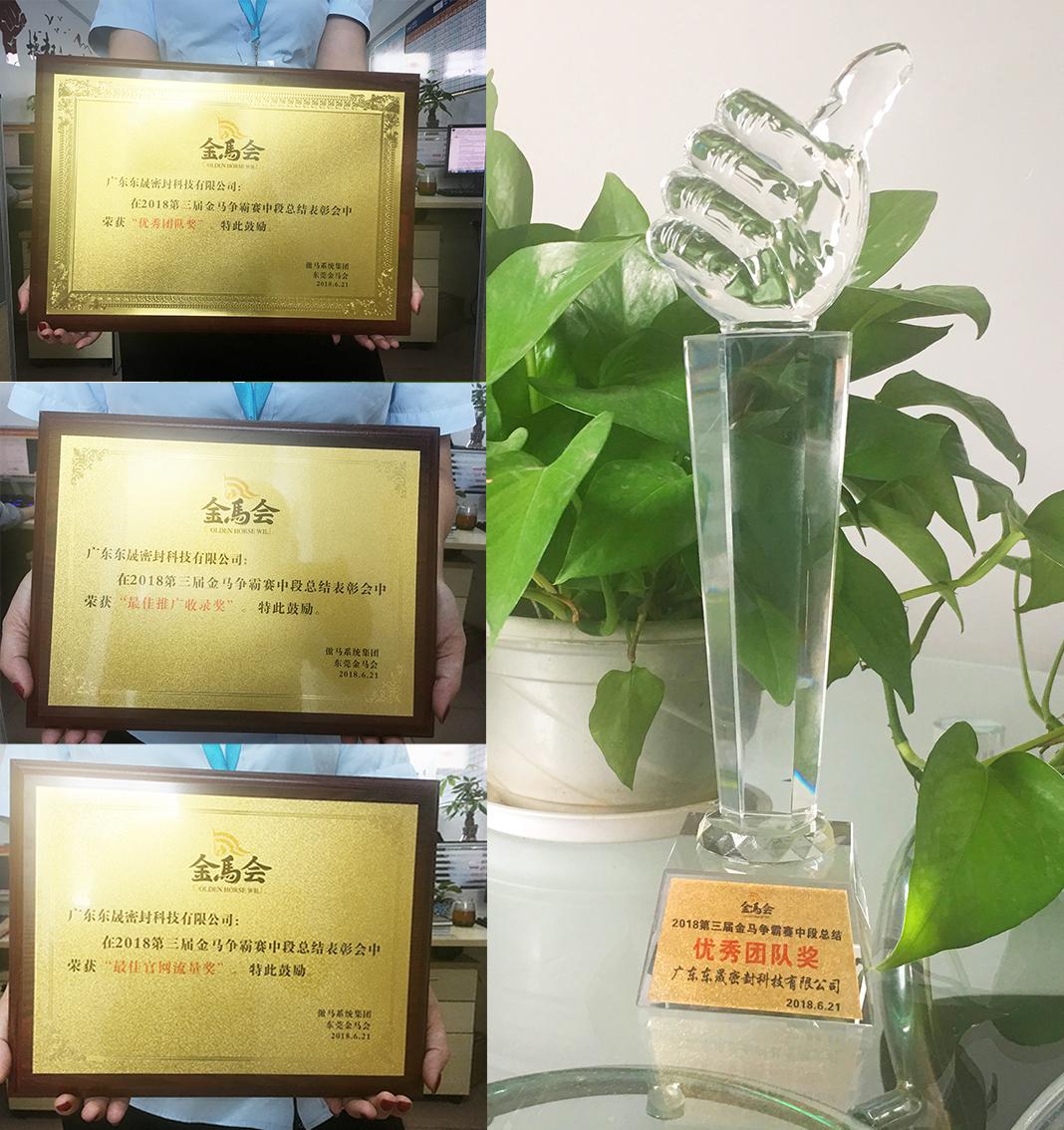 愛密特密封件公司獲得了三個(gè)獎(jiǎng)項(xiàng)：“優(yōu)秀團(tuán)隊(duì)獎(jiǎng)”、“最佳官網(wǎng)流量獎(jiǎng)”、“最佳推廣收錄獎(jiǎng)”